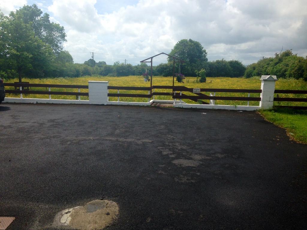 Palm Grove B&B Cashel (Tipperary) Exterior foto